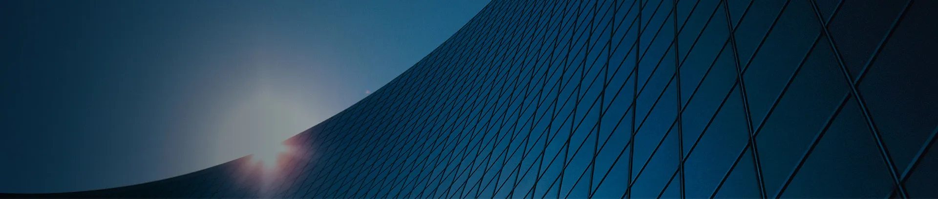 Company Profile